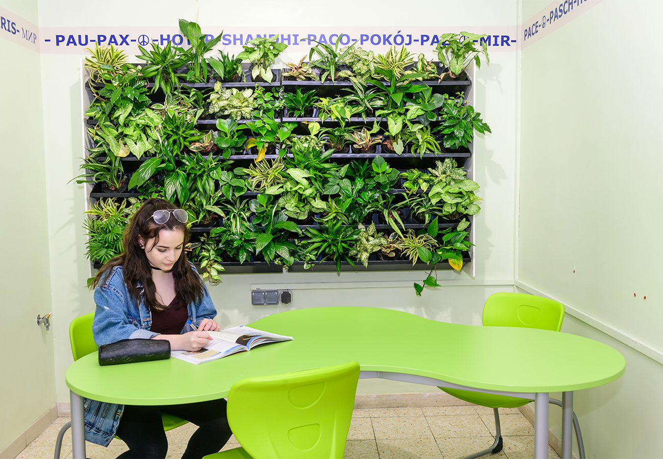 „Wir begrünen unsere Schule“ „Wir begrünen unsere Schule“