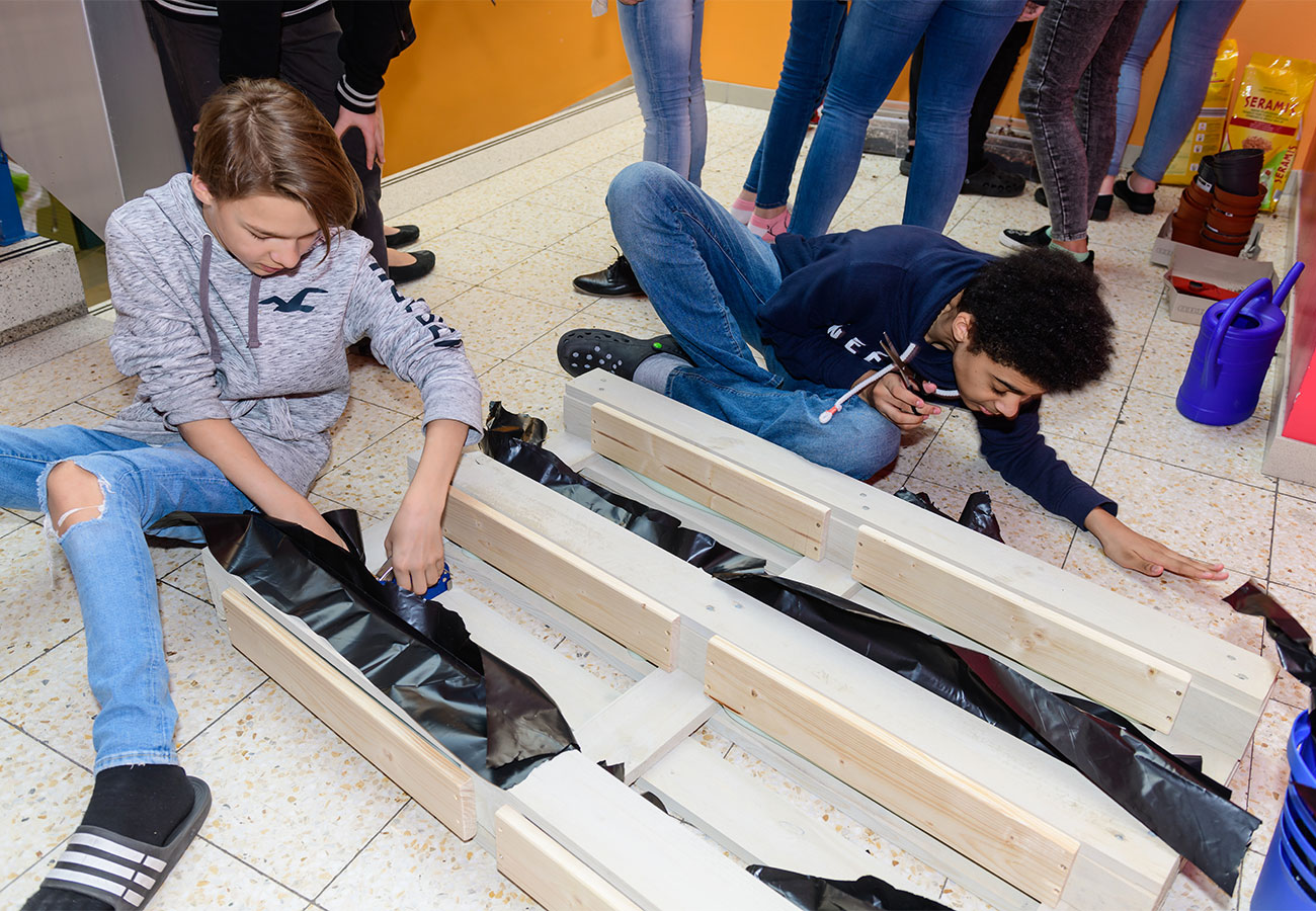 „Wir begrünen unsere Schule“ „Wir begrünen unsere Schule“