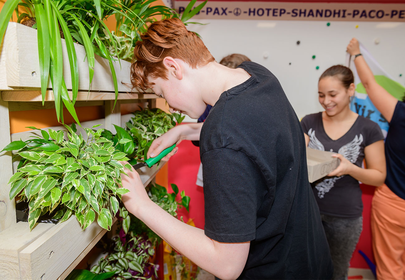 „Wir begrünen unsere Schule“ „Wir begrünen unsere Schule“
