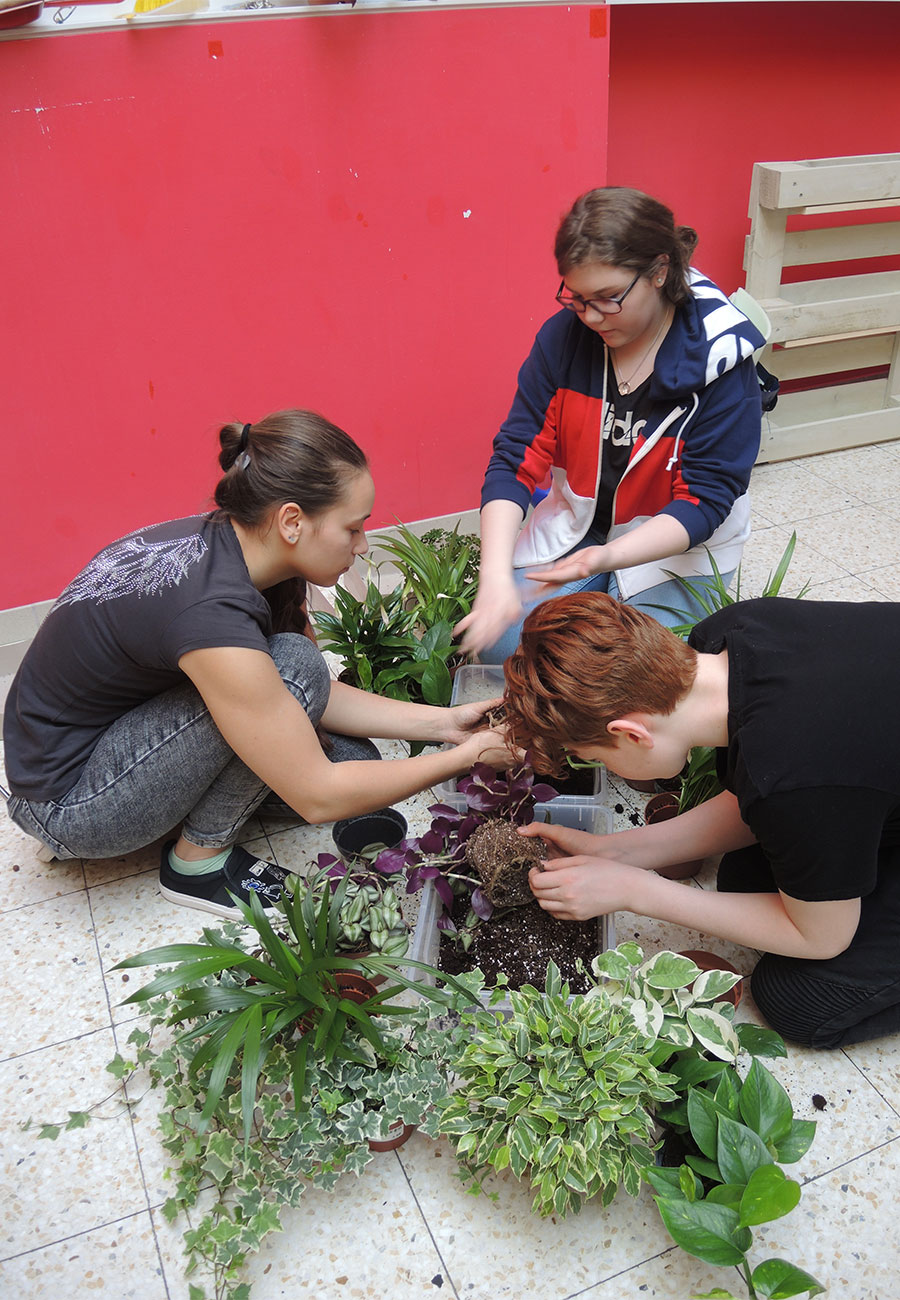 „Wir begrünen unsere Schule“ „Wir begrünen unsere Schule“